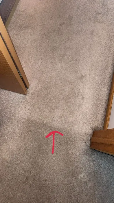 America's Best Cleaning & Restoration Services Picture 8