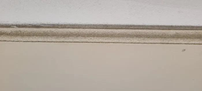 America's Best Cleaning & Restoration Services Picture 3