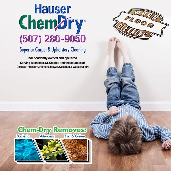 Hauser Chem-Dry Picture 8