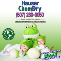 Hauser Chem-Dry ico