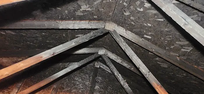 Lewis Restoration LLC Picture 3