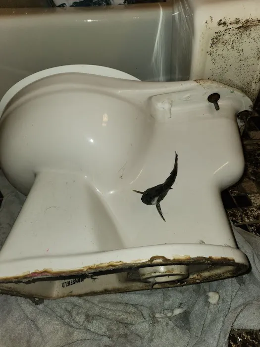 Jetter Clean Inc Picture 1