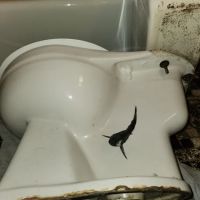 Jetter Clean Inc ico