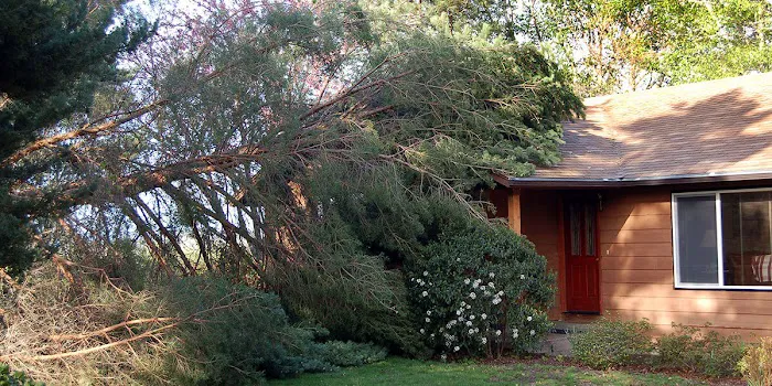 Just Us Construction & Restoration, Inc. Picture 4