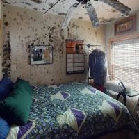 Service Restoration ico