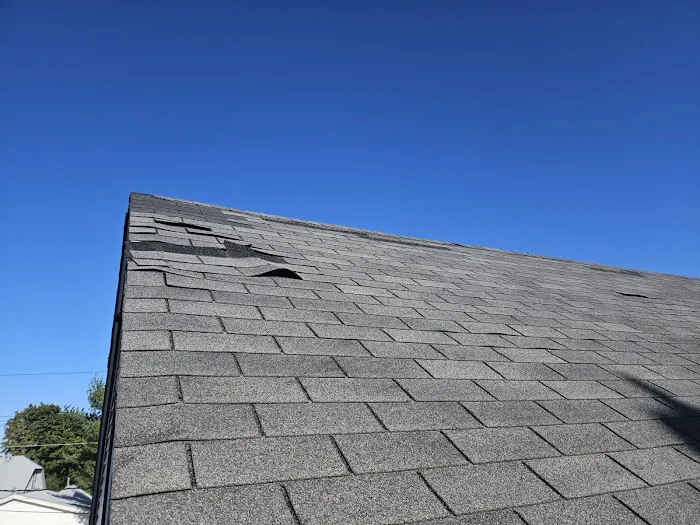 TriCore- Water, Fire, Mold, and Sewer Restoration Picture 2