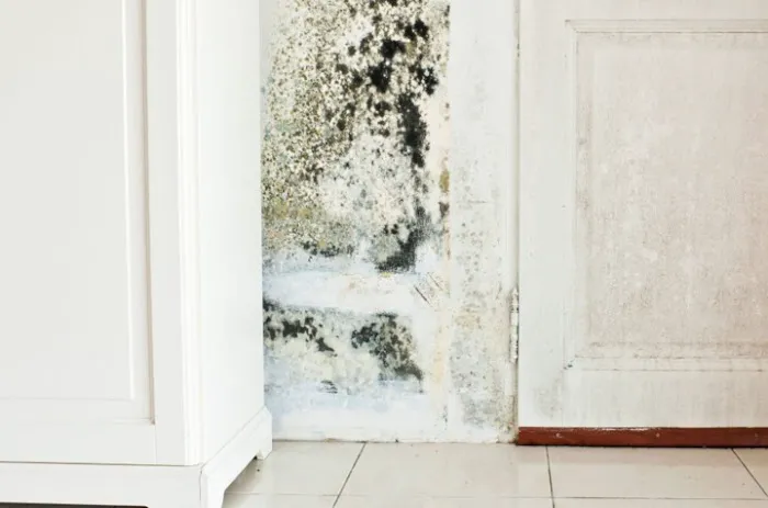 TriCore- Water, Fire, Mold, and Sewer Restoration Picture 5