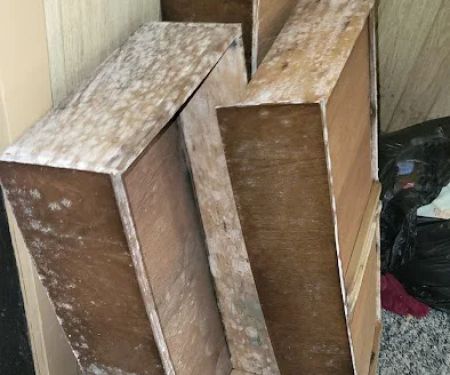 TriCore- Water, Fire, Mold, and Sewer Restoration