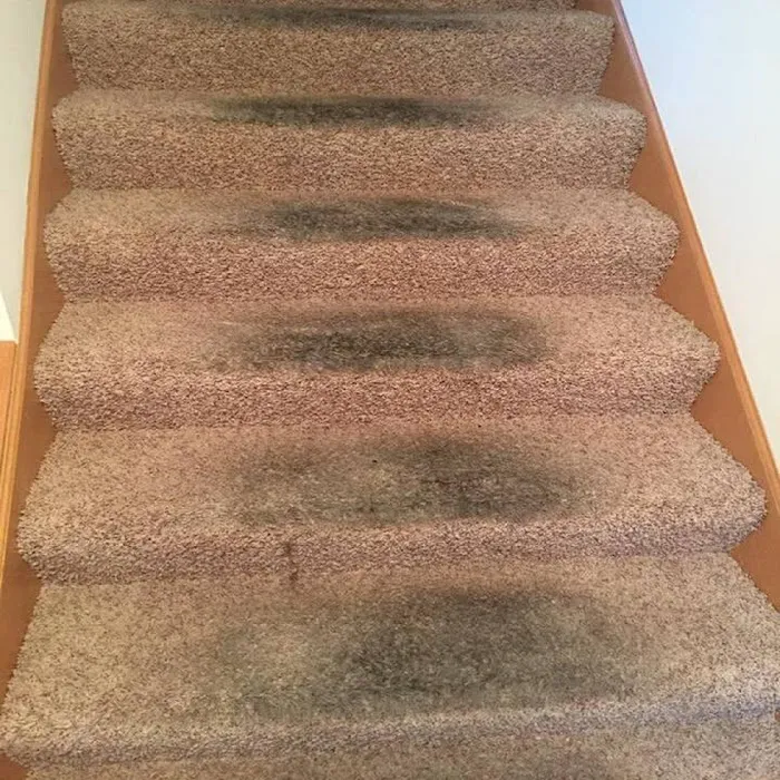 C & R Carpet Restoration Picture 5