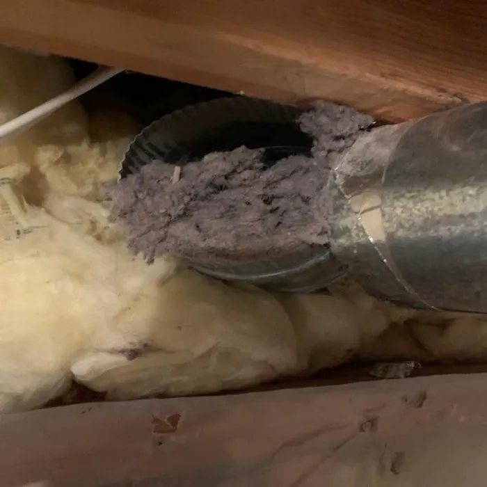 C & R Carpet Restoration Picture 3