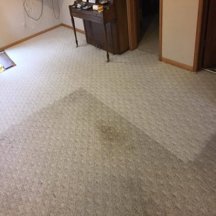 C & R Carpet Restoration Picture 6