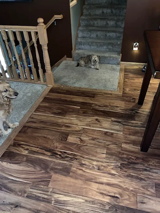 Spots Gone Carpet Cleaning & Restoration Picture 1