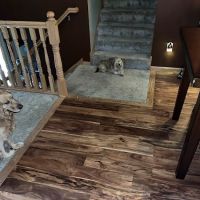 Spots Gone Carpet Cleaning & Restoration ico