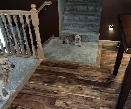 Spots Gone Carpet Cleaning & Restoration