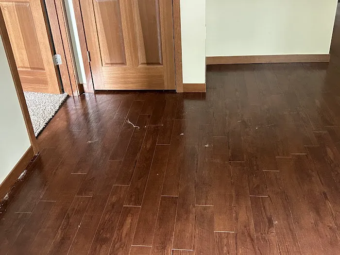 Chem Master Restoration Picture 3