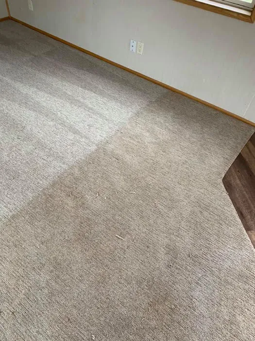 Steamatic of Western Wisconsin Picture 5