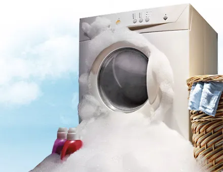 Steamatic of Western Wisconsin Picture 6