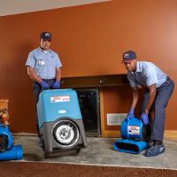 Roto-Rooter Plumbing and Water Cleanup ico