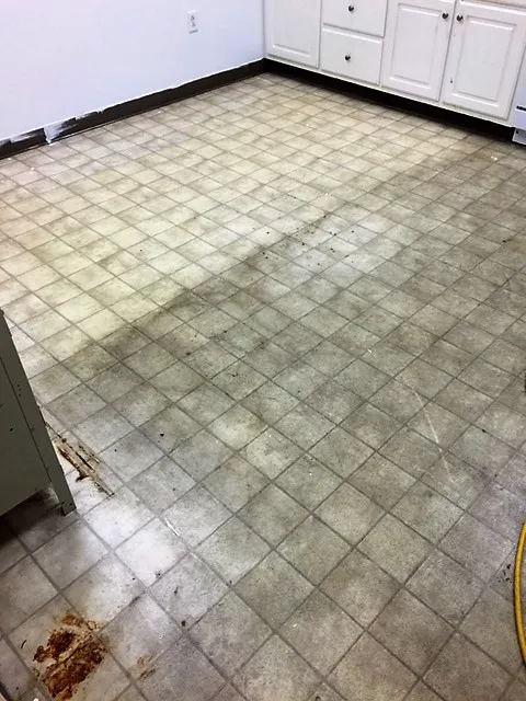 Xtreme Klene Carpet & Upholstery Cleaning Picture 2