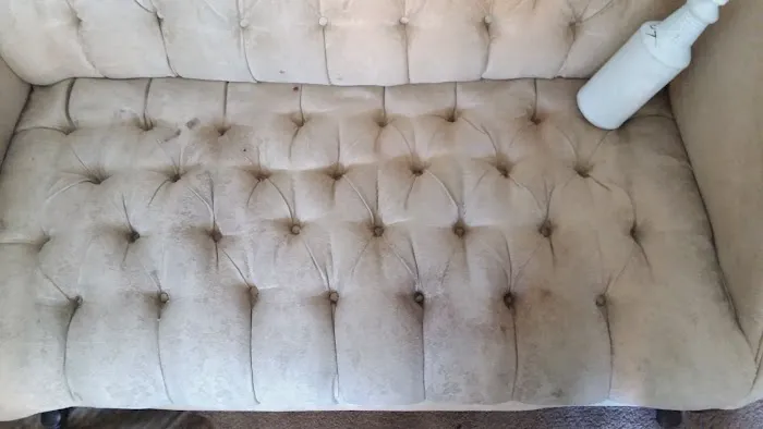 Stanley Steemer Picture 8