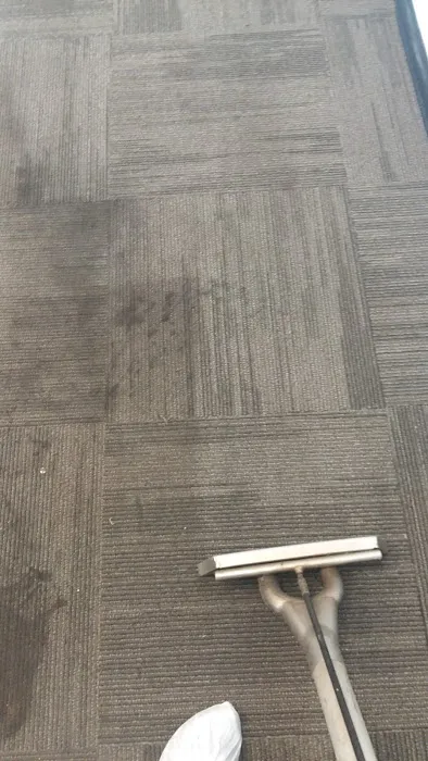 Stanley Steemer Picture 9