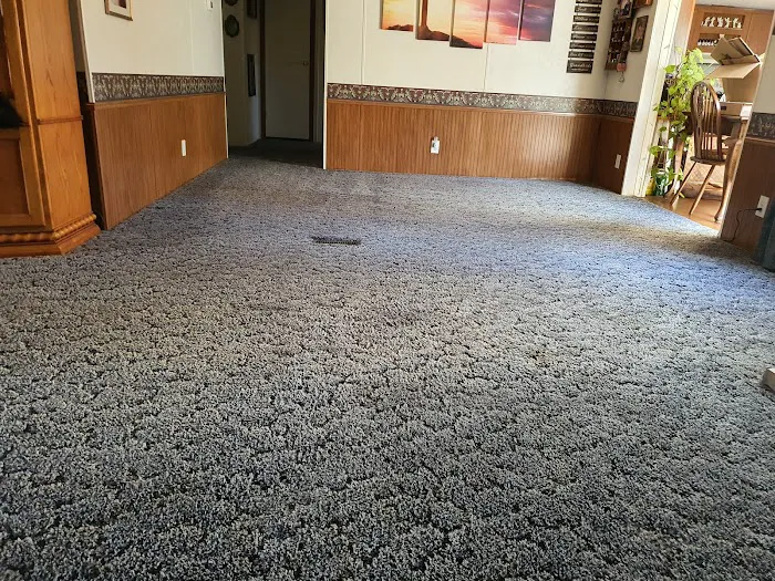 Stanley Steemer Picture 5