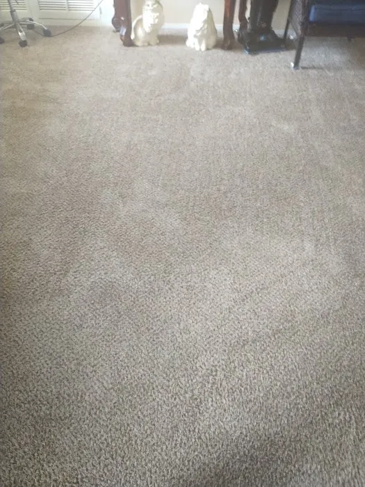 Stanley Steemer Picture 2