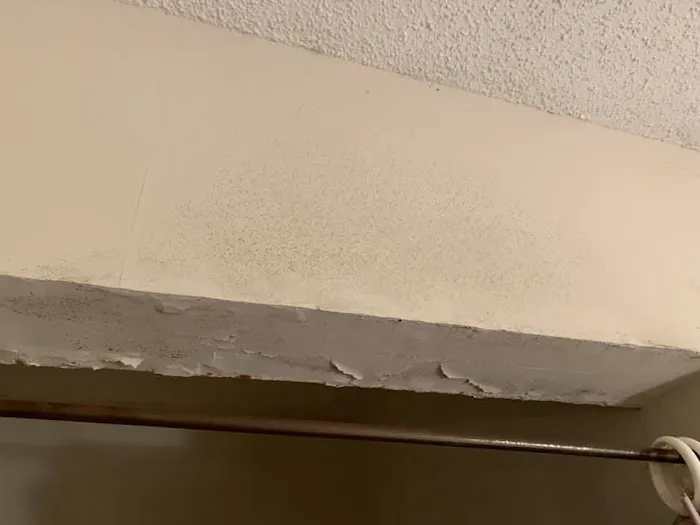 Neighborly Picture 3