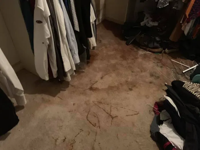 Neighborly Picture 2