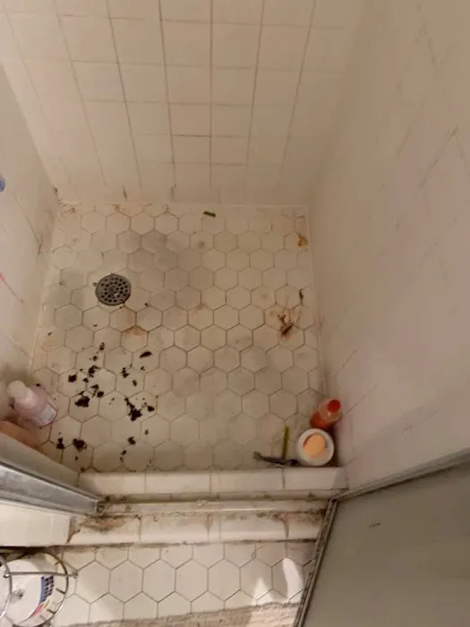 Neighborly Picture 1