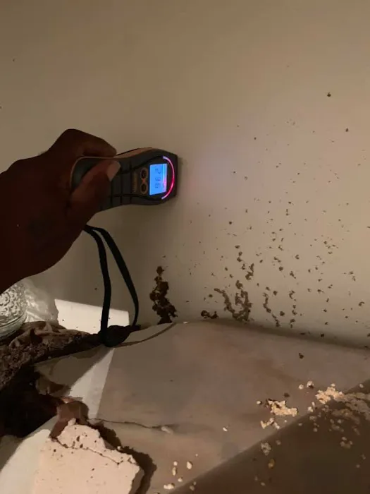 Neighborly Picture 9