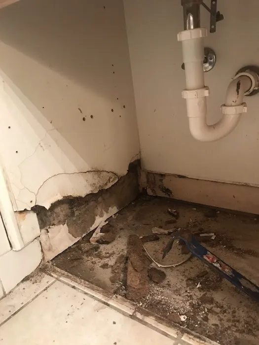 T&J's Pro Painting Picture 8