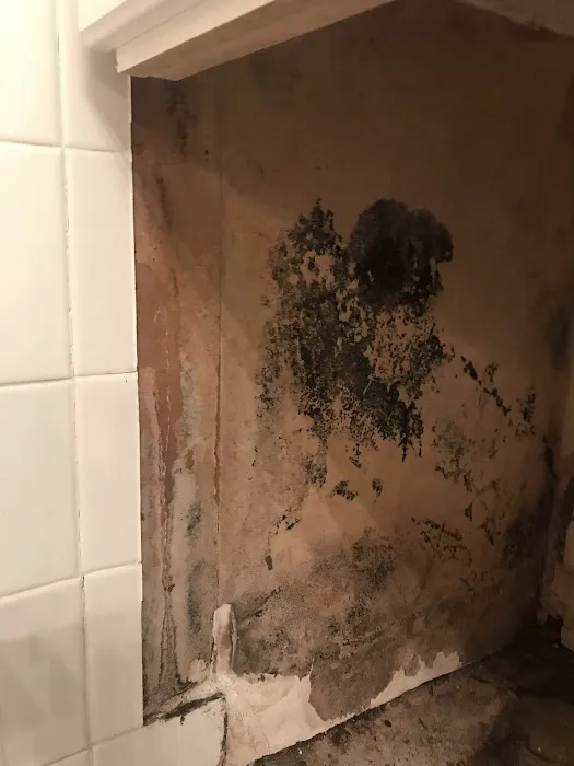 T&J's Pro Painting Picture 6