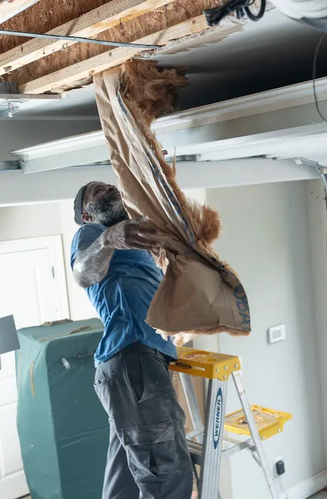 DEC Fire & Water Restoration of Auburn/Opelika Picture 10