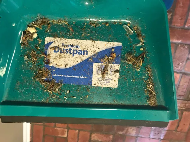 CSI Restoration & Cleaning Picture 1