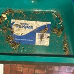 CSI Restoration & Cleaning