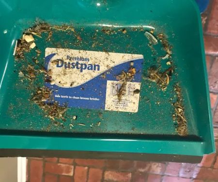 CSI Restoration & Cleaning