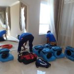 Opelika Water Removal Pros