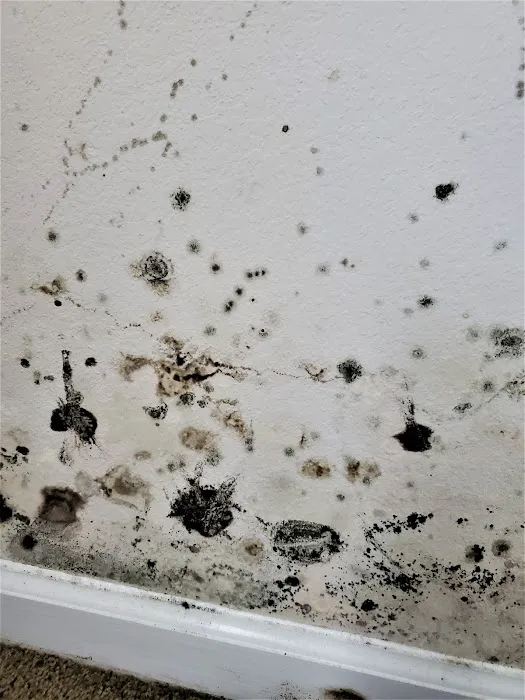 Legion Property Restoration Picture 1