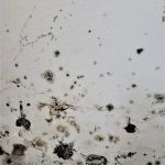 Legion Property Restoration