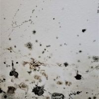 Legion Property Restoration ico