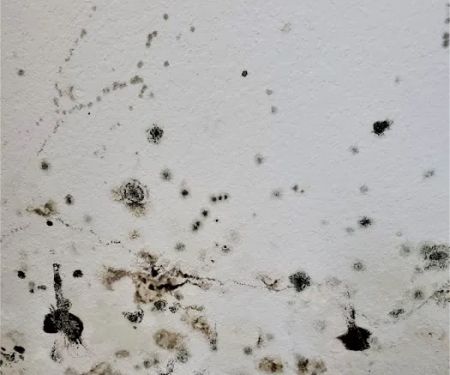 Legion Property Restoration