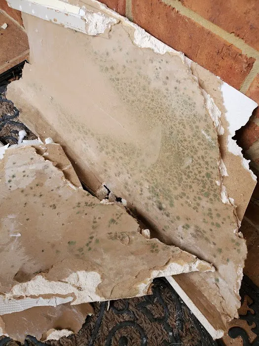 Legion Property Restoration Picture 9