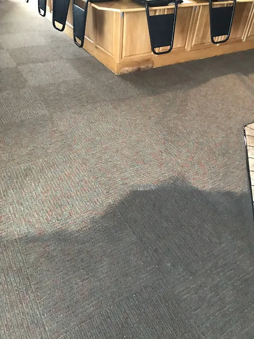 Chem-Dry of East Alabama Picture 1