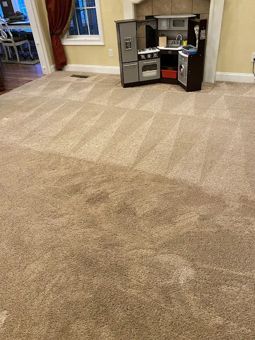 Chem-Dry of East Alabama Picture 5