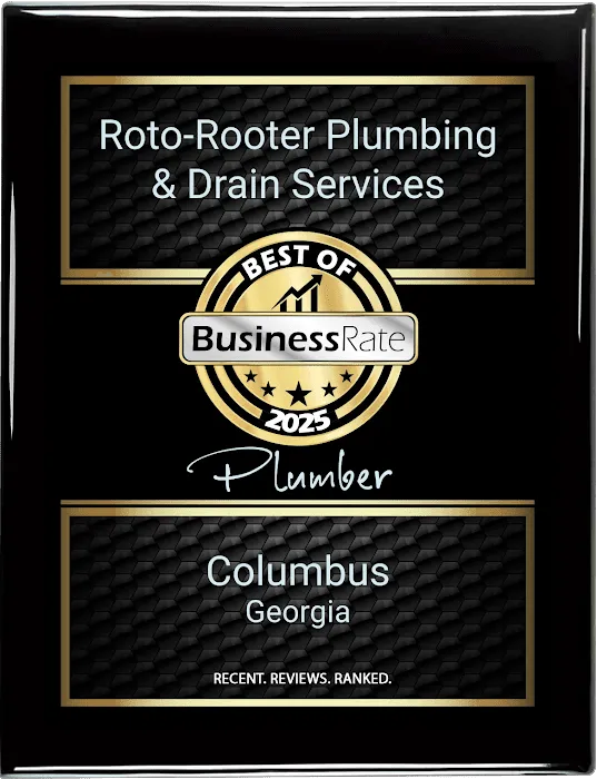 Roto-Rooter Plumbing & Drain Services Picture 3