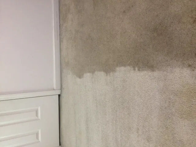 Steamatic Picture 10