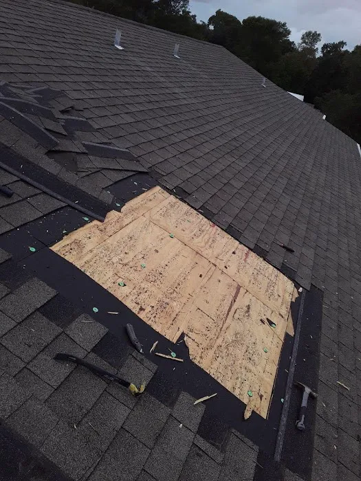 Jinx An Bread's Home Improvements Picture 4