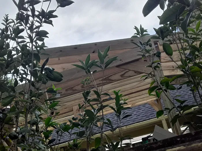 Jinx An Bread's Home Improvements Picture 2