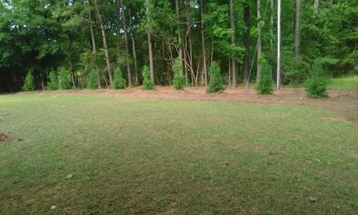 Greer Home Solutions - General Contractor Picture 4